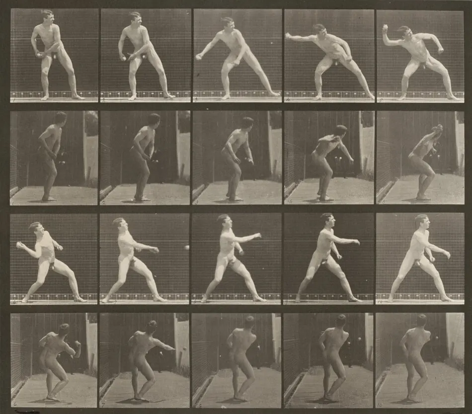 Plate Number 273. Baseball, pitching by Eadweard Muybridge