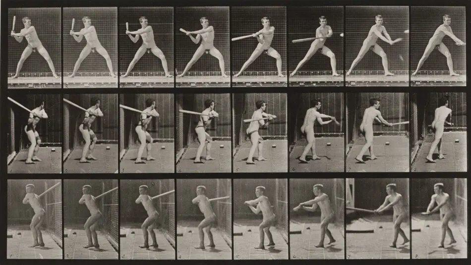 Plate Number 276. Baseball, batting by Eadweard Muybridge