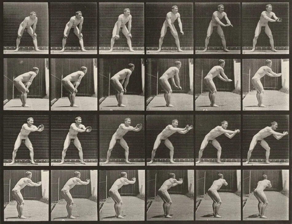 Plate Number 280. Baseball, catching by Eadweard Muybridge