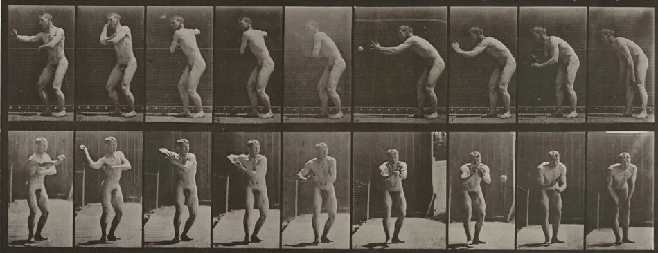 Plate Number 281. Baseball, catching and throwing by Eadweard Muybridge