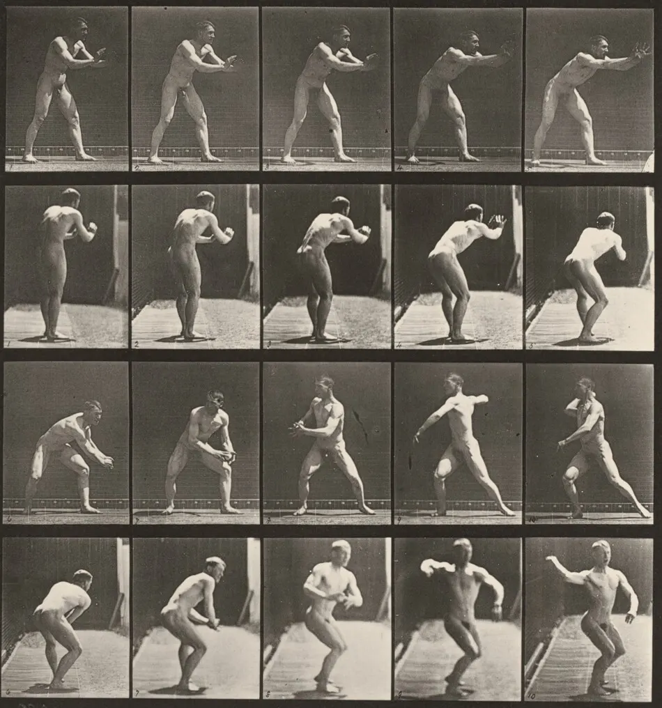 Plate Number 282. Baseball, catching and throwing by Eadweard Muybridge