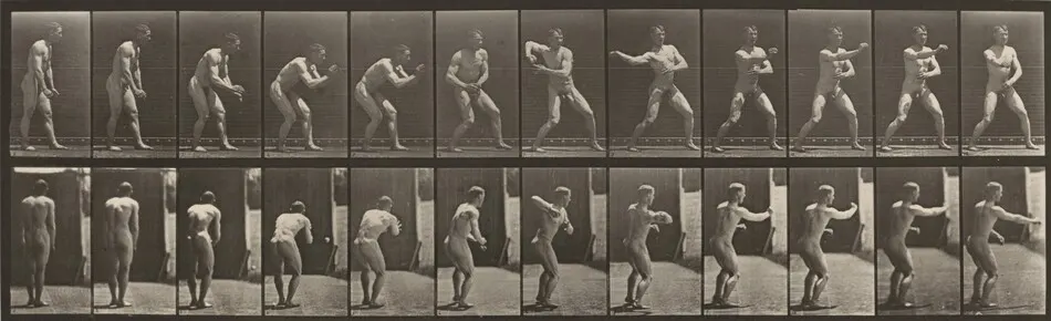 Plate Number 285. Baseball, catching and throwing by Eadweard Muybridge