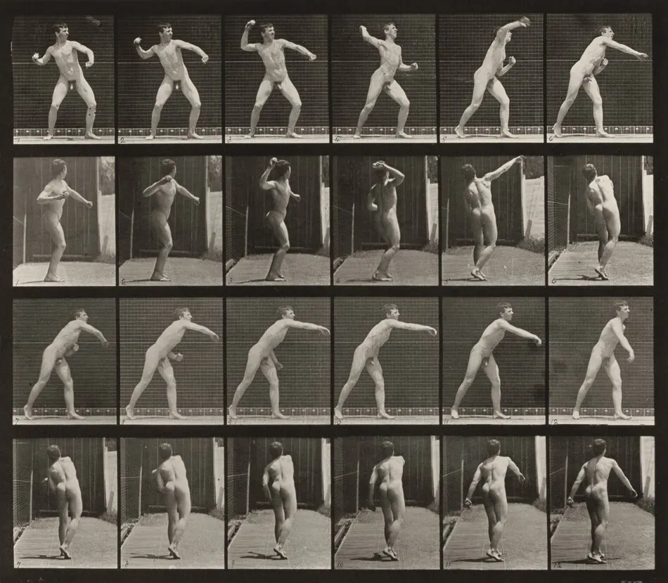 Plate Number 286. Baseball, throwing by Eadweard Muybridge