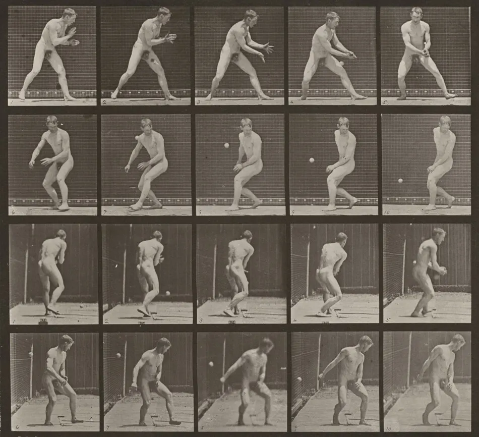 Plate Number 288. Baseball, error by Eadweard Muybridge