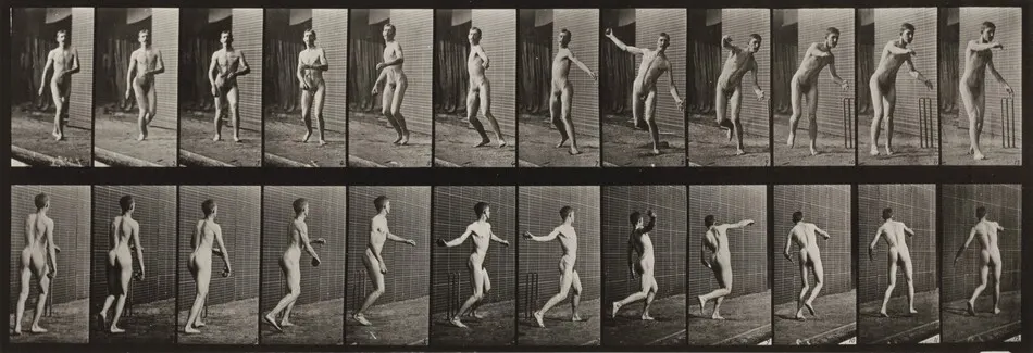 Plate Number 289. Cricket, round-arm bowling by Eadweard Muybridge
