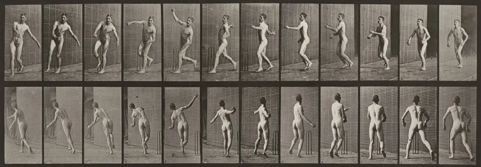 Plate Number 290. Cricket, overarm bowling by Eadweard Muybridge