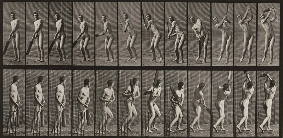 Plate Number 291. Cricket, batting and drive by Eadweard Muybridge