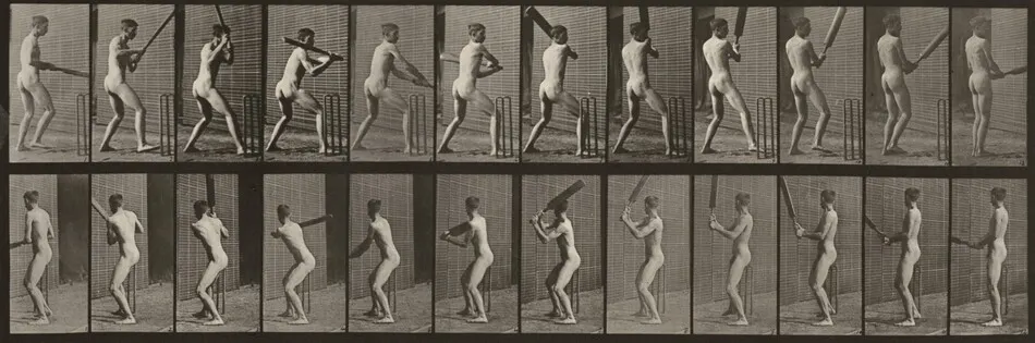 Plate Number 292. Cricket, batting and back cut by Eadweard Muybridge