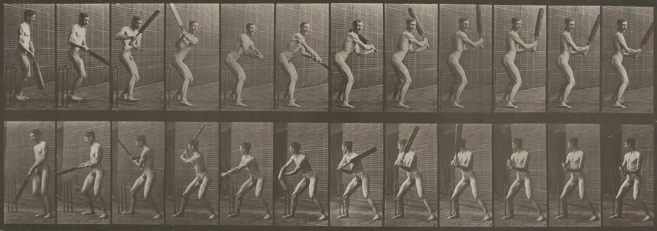 Plate Number 293. Cricket, batting and back cut by Eadweard Muybridge