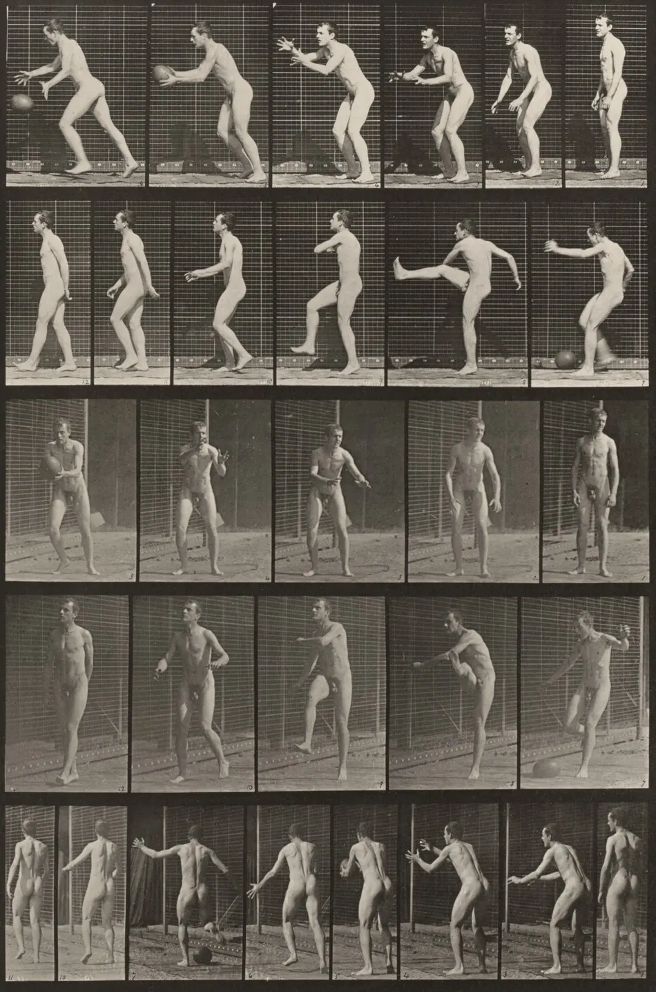 Plate Number 300. Football, drop kick by Eadweard Muybridge