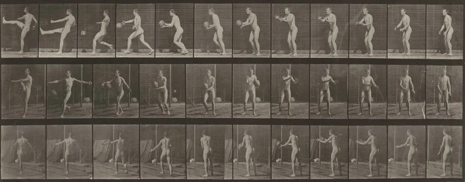 Plate Number 301. Football, punt by Eadweard Muybridge