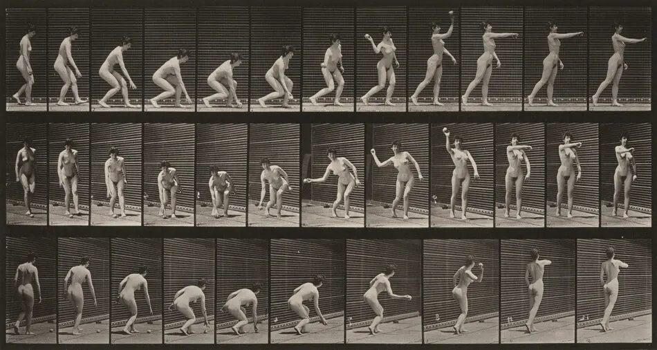 Plate Number 303. Picking up a ball and throwing it by Eadweard Muybridge