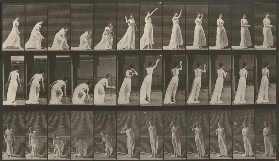 Plate Number 305. Picking up a ball and throwing it by Eadweard Muybridge