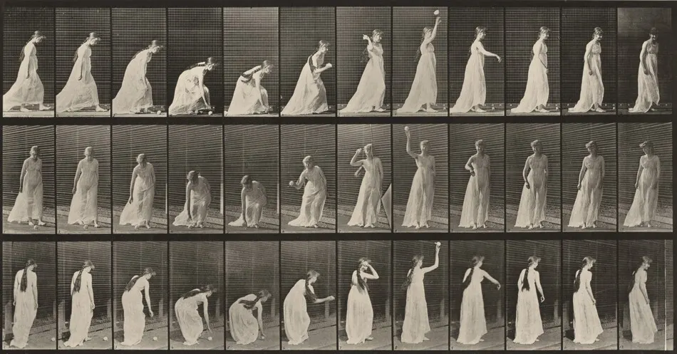 Plate Number 306. Picking up a ball and throwing it by Eadweard Muybridge
