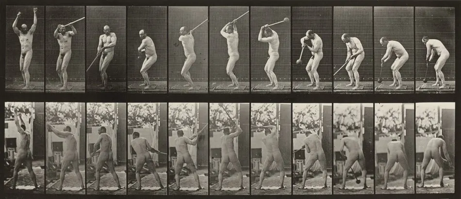 Plate Number 308. Throwing the hammer by Eadweard Muybridge