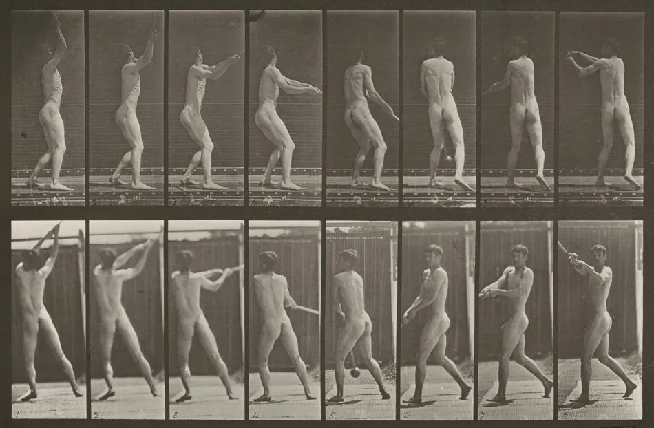 Plate Number 309. Throwing the hammer by Eadweard Muybridge