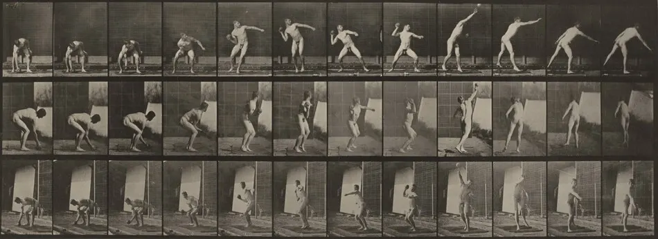 Plate Number 310. Putting the shot by Eadweard Muybridge