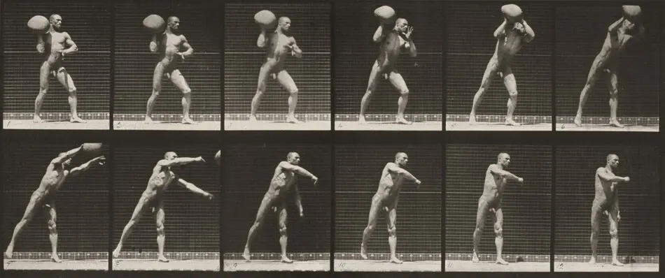 Plate Number 311. Heaving a 75-lb. rock by Eadweard Muybridge