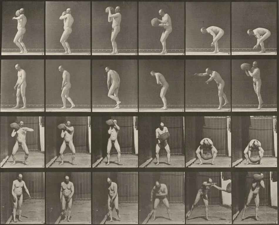 Plate Number 312. Heaving a 75-lb. rock by Eadweard Muybridge