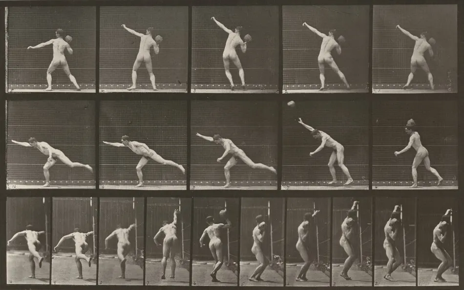 Plate Number 313. Heaving a 20-lb. rock by Eadweard Muybridge