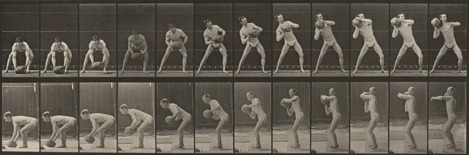 Plate Number 318. Lifting a 75-lb. rock by Eadweard Muybridge