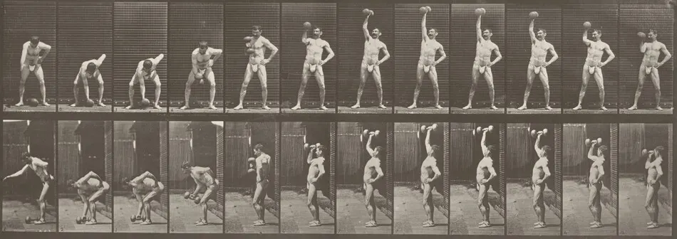 Plate Number 320. Lifting a 50-lb. dumbbell by Eadweard Muybridge