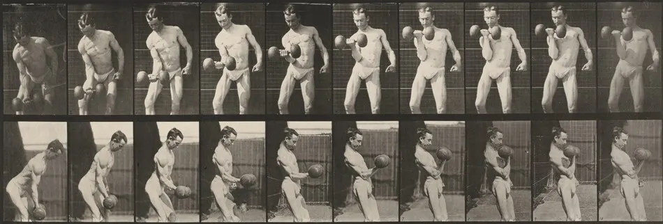 Plate Number 324. Curling a 50-lb. dumbbell by Eadweard Muybridge