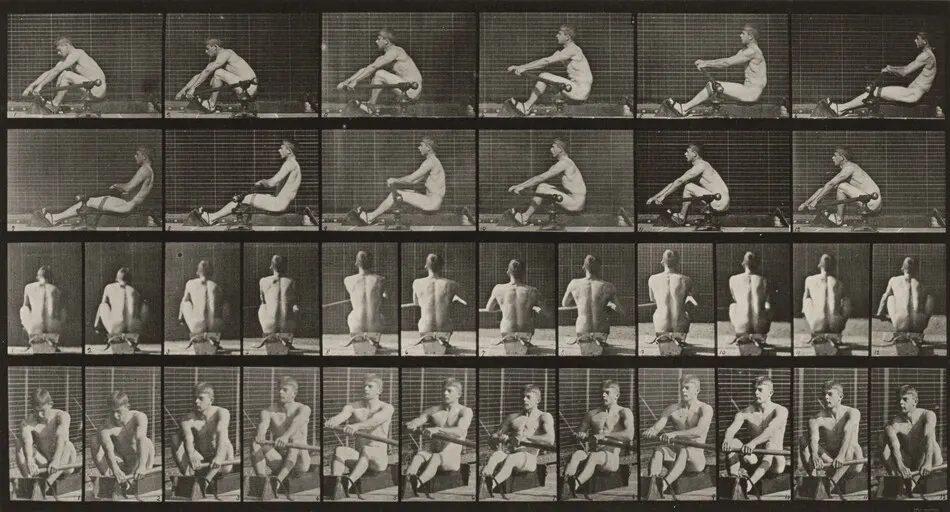 Plate Number 327. Rowing by Eadweard Muybridge