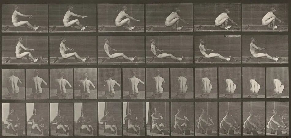 Plate Number 328. Rowing by Eadweard Muybridge