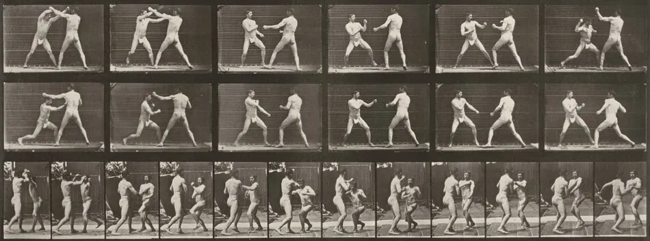 Plate Number 329. Boxing by Eadweard Muybridge