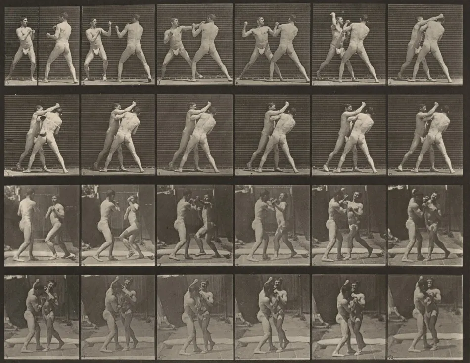 Plate Number 330. Boxing, cross-counter by Eadweard Muybridge