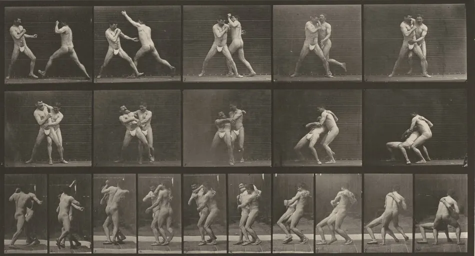 Plate Number 331. Boxing, stop for cross-buttocks by Eadweard Muybridge
