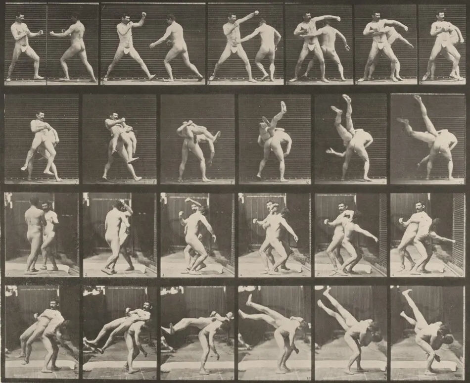 Plate Number 332. Boxing, cross-buttocks by Eadweard Muybridge