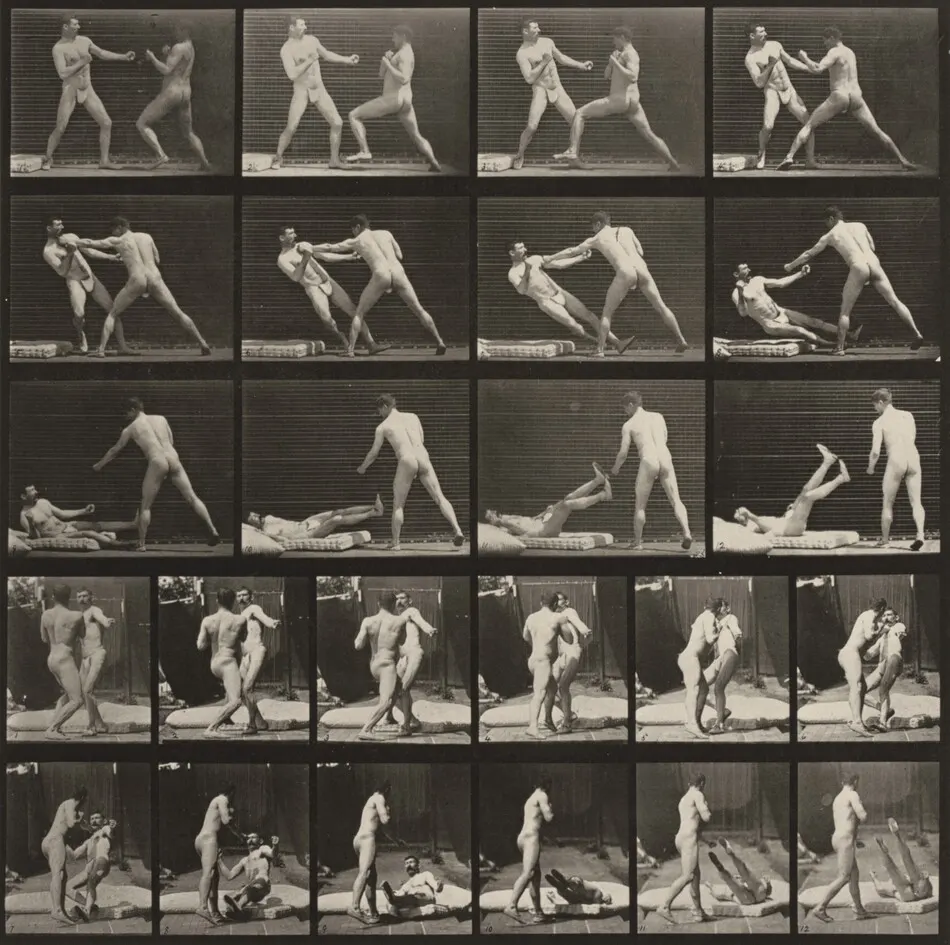 Plate Number 333. Boxing, one man knocking the other one down by Eadweard Muybridge