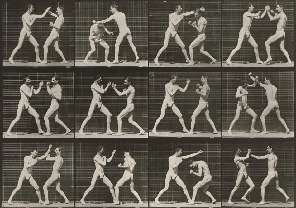 Plate Number 336. Boxing, open hand by Eadweard Muybridge