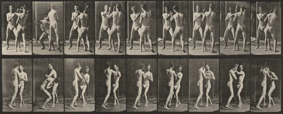 Plate Number 337. Boxing, open hand by Eadweard Muybridge