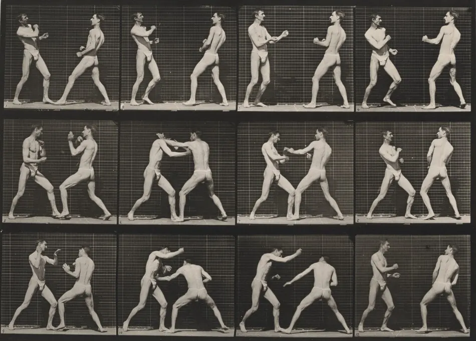 Plate Number 338. Boxing, open hand by Eadweard Muybridge