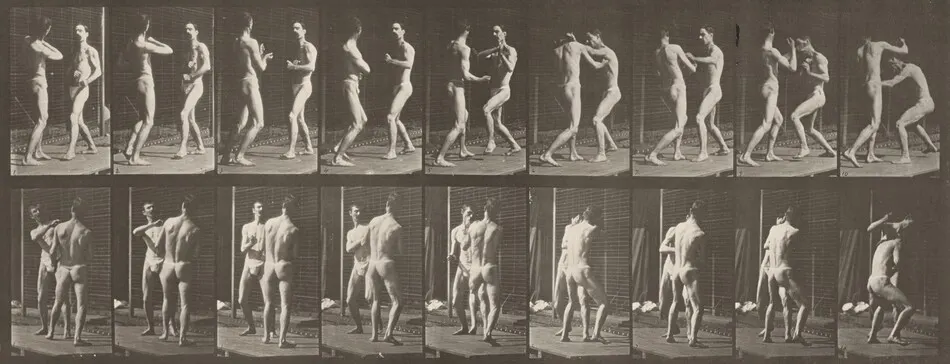 Plate Number 339. Boxing, open hand by Eadweard Muybridge