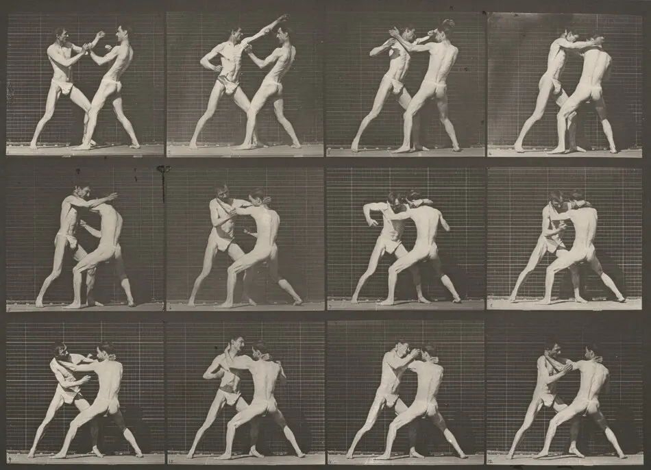 Plate Number 340. Boxing, open hand by Eadweard Muybridge