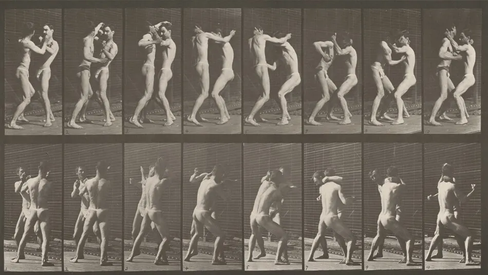 Plate Number 341. Boxing, open hand by Eadweard Muybridge