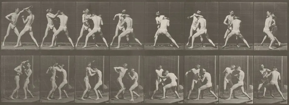 Plate Number 342. Boxing, open hand by Eadweard Muybridge