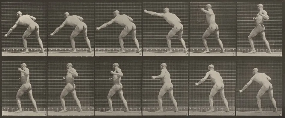 Plate Number 343. Striking a blow with left hand by Eadweard Muybridge