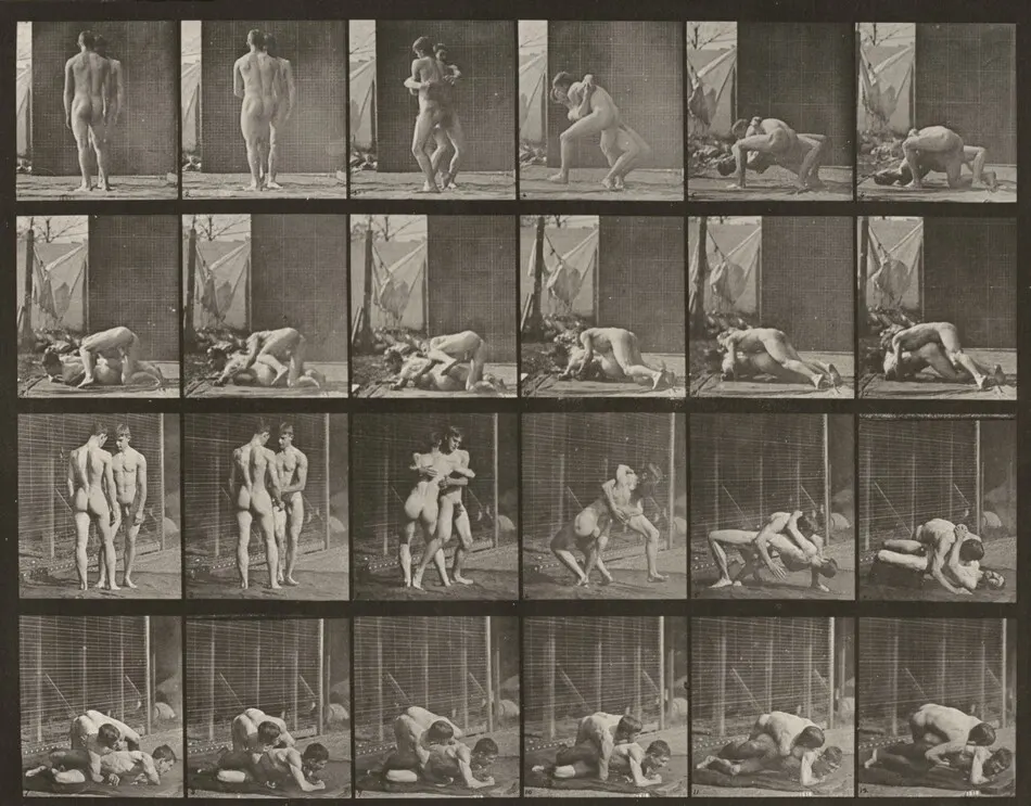 Plate Number 346. Wrestling, lock by Eadweard Muybridge