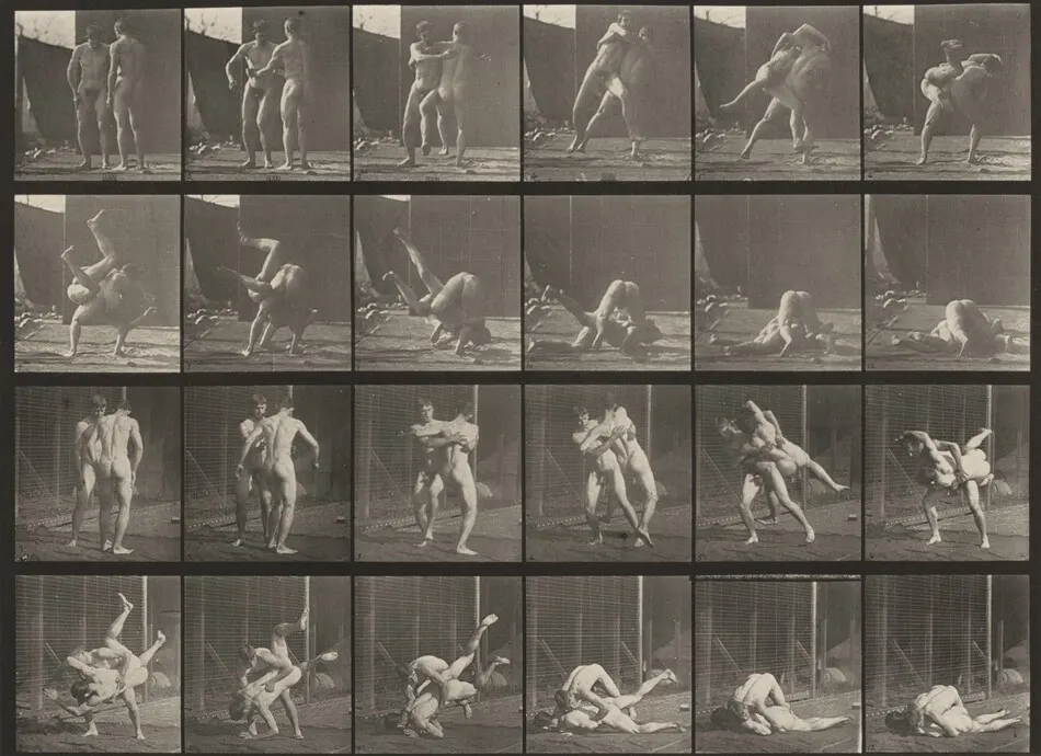 Plate Number 348. Wrestling, Graeco-Roman by Eadweard Muybridge