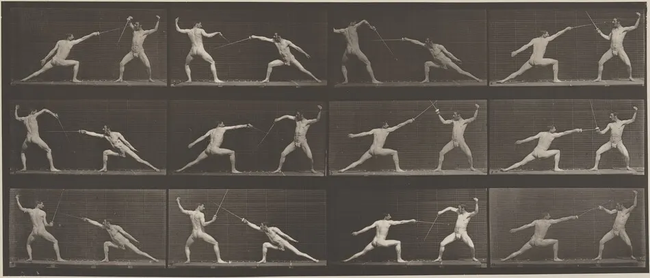 Plate Number 349. Fencing by Eadweard Muybridge