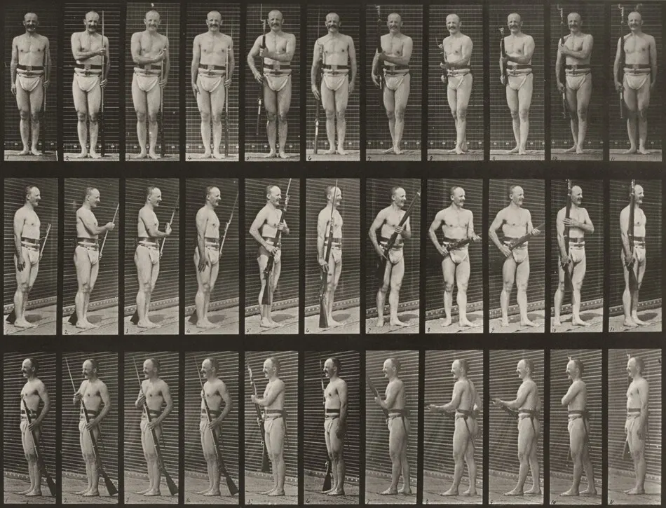 Plate Number 351. "Fix" and "unfix bayonets" by Eadweard Muybridge