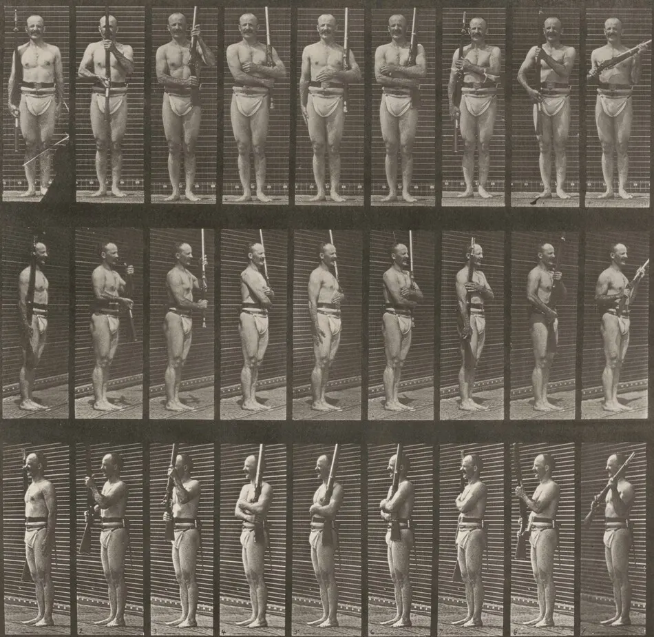 Plate Number 353. "Support arms" and "arms port" by Eadweard Muybridge