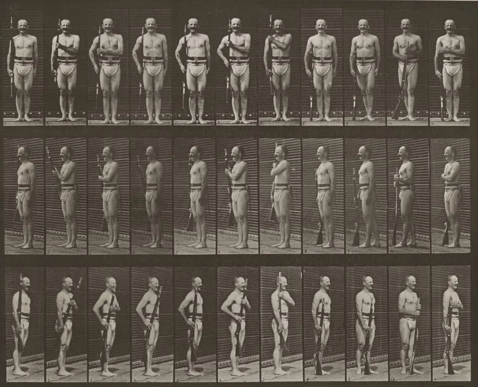 Plate Number 354. "Carry arms," "parade rest" and "trail arms" by Eadweard Muybridge
