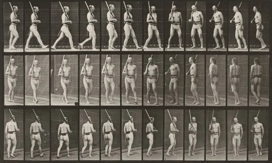Plate Number 355. On guard, walking and turning around by Eadweard Muybridge