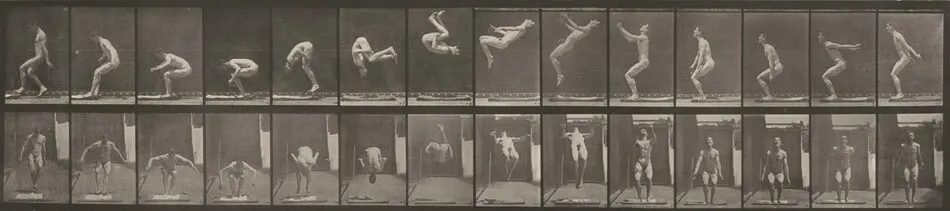 Plate Number 362. Back somersault by Eadweard Muybridge